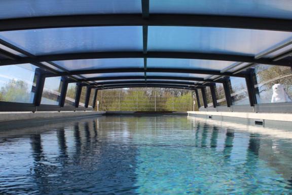 abri de piscine bas néo 50 vue d'intérieur