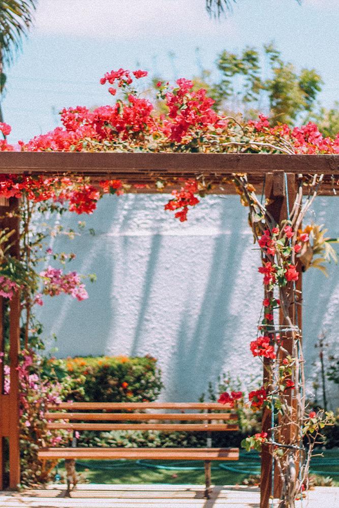 Quelles différences entre pergola et tonnelle de jardin ?