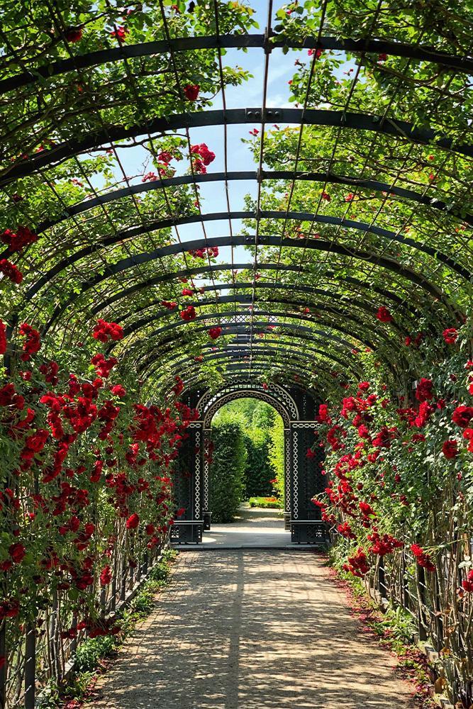 Akena Pergola - Végétaliser sa pergola