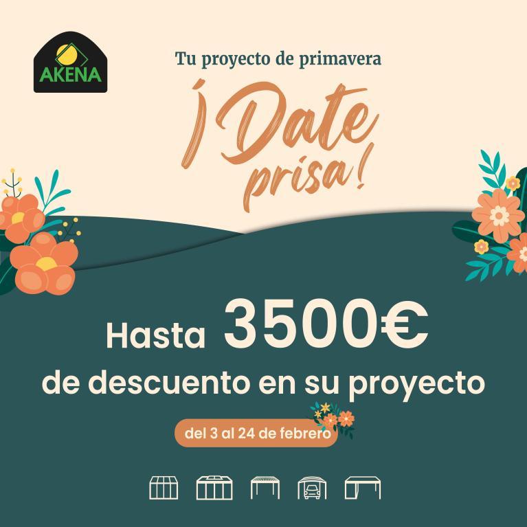 AKENA Proyecto de primavera